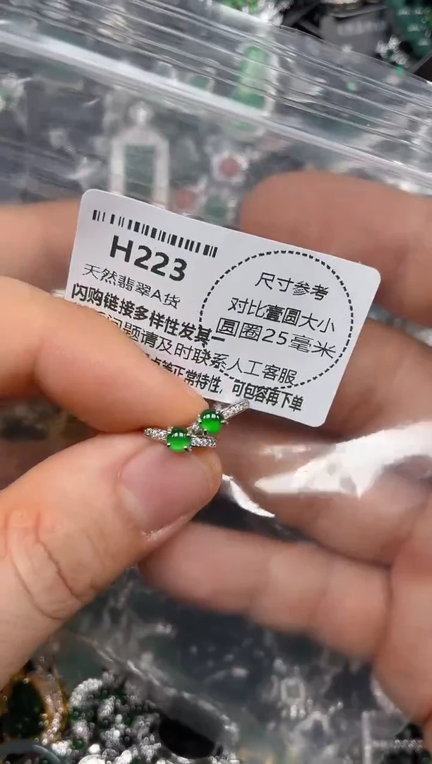 颈饰未镶嵌翡翠H223耳扣