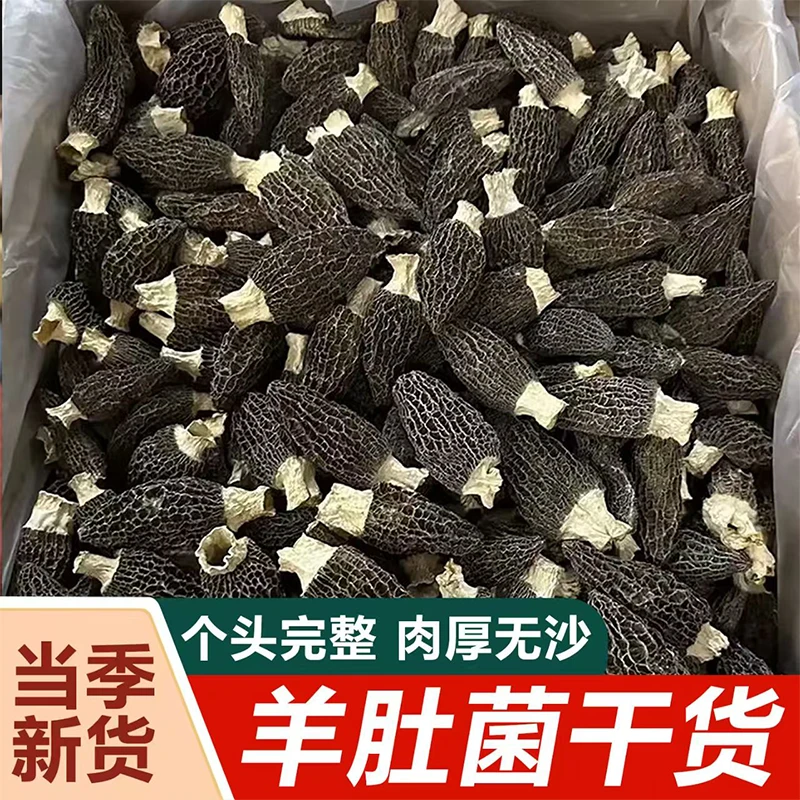 精选头茬新货3-8公分菌菇肉厚奶香羊肚菌煲汤炖菜干货羊肚菌干
