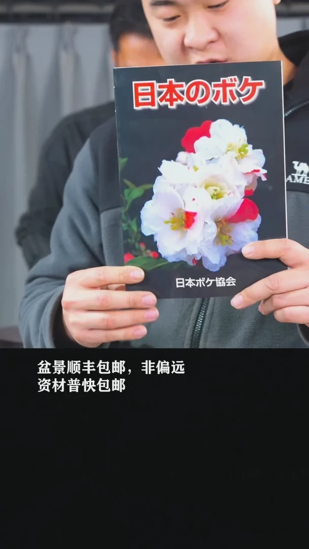 【闪购商品】-海棠图册一本