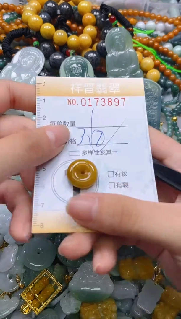 翡翠未镶嵌颈饰闪购0173897多样性发其一