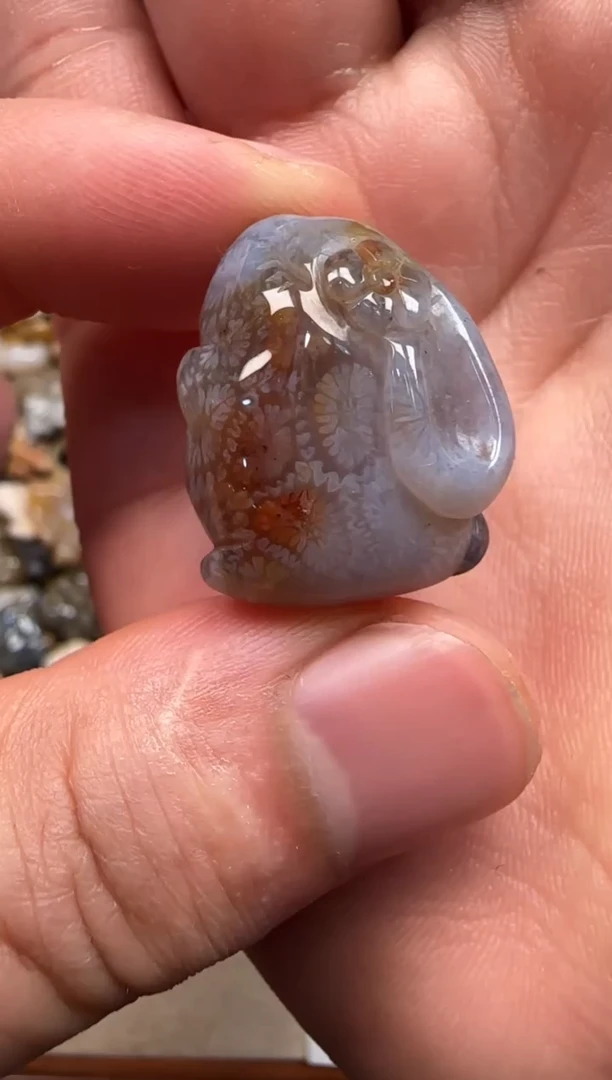 【闪购商品】硅化珊瑚（珊瑚玉）颈饰未镶嵌597