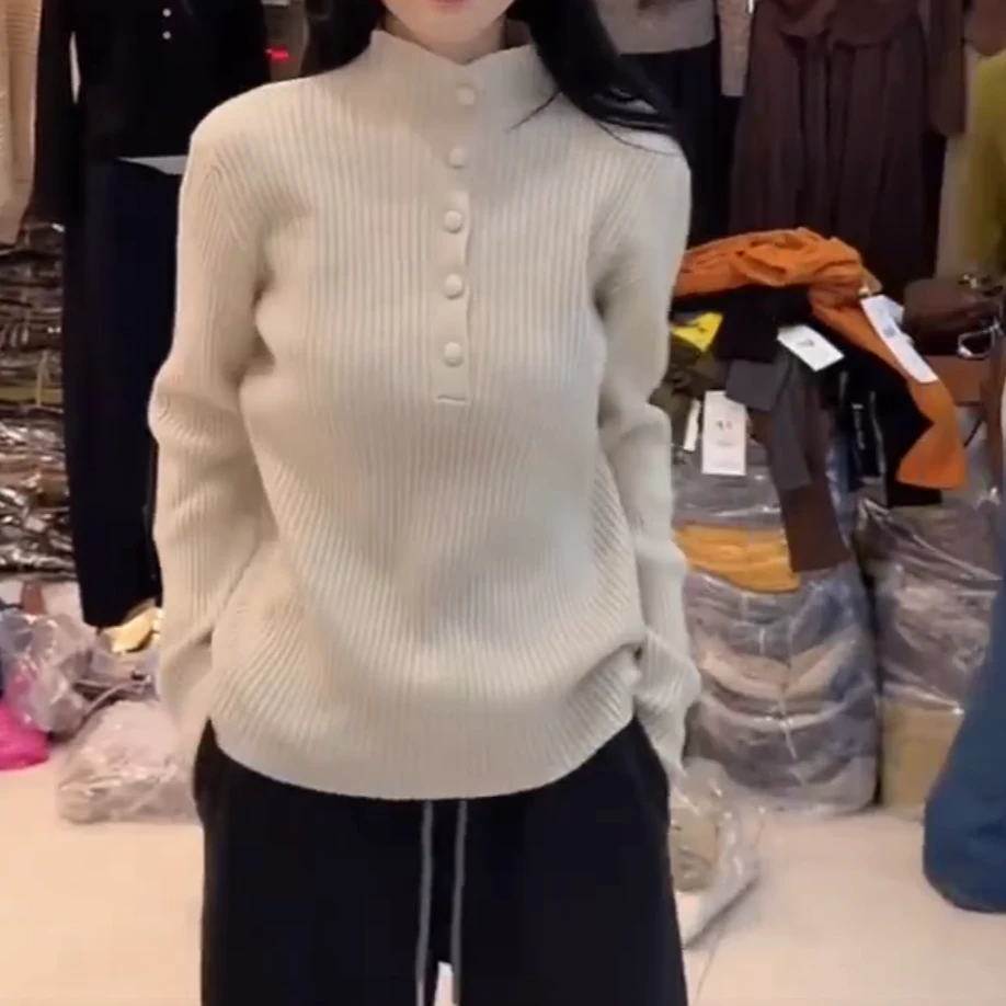 高领系针织纯色立领毛针织衫女2025新款秋冬时尚百搭套头长袖上衣