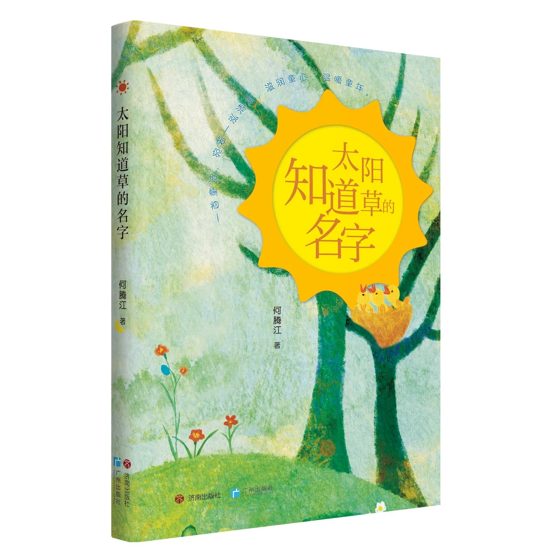 太阳知道草的名字