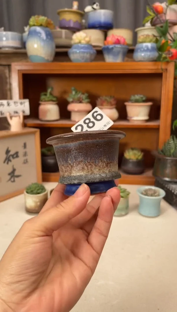 瓷片286知木小芳花盆