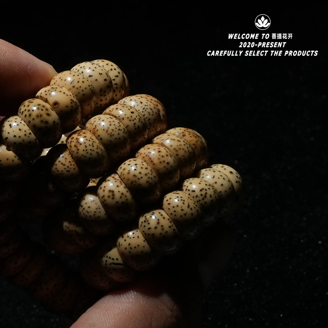 星月Tangle 十年以上陈籽原料