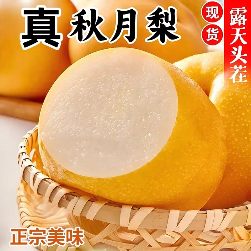 9斤顺丰正宗山东秋月梨新鲜现摘山东头茬脆甜多汁皮薄肉细