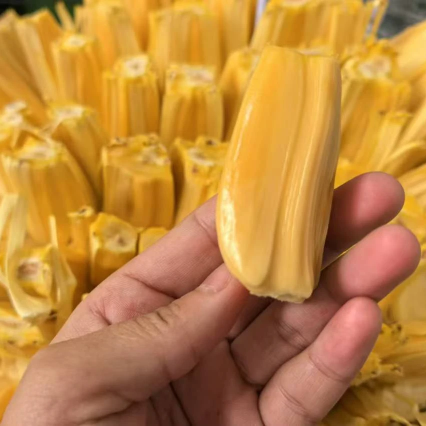 果切同城送菠萝蜜肉1斤装