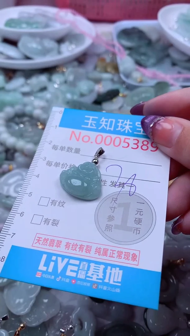 翡翠未镶嵌吊坠(不含链)5389