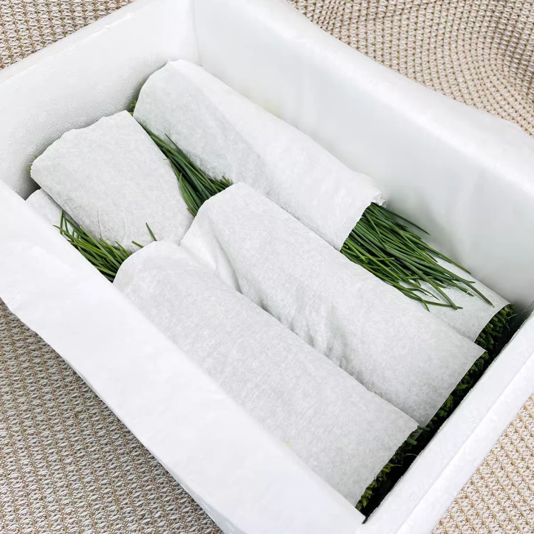 【顺丰包邮】现产沙葱野葱新鲜甘肃民勤特产蔬菜火锅凉拌饺子馅