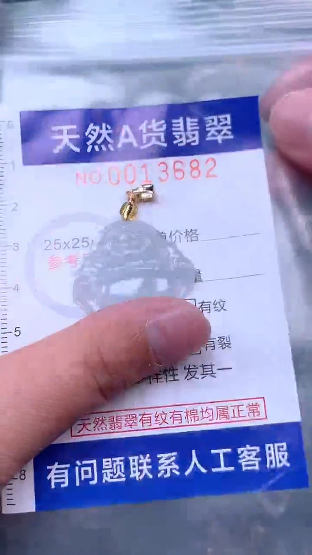 吊坠(赠链)未镶嵌翡翠1