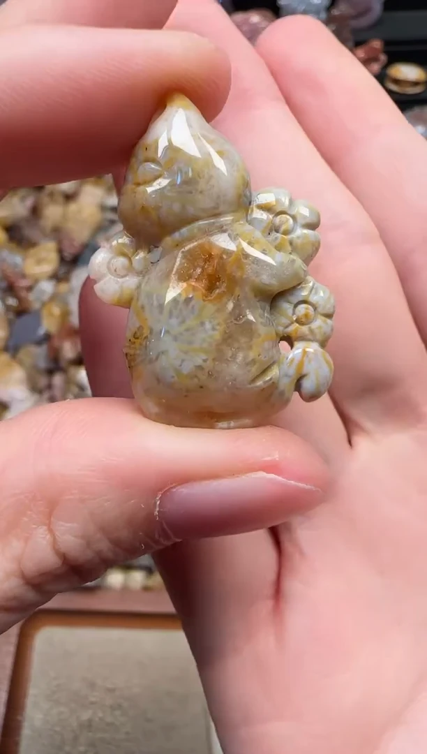 颈饰未镶嵌硅化珊瑚（珊瑚玉）043