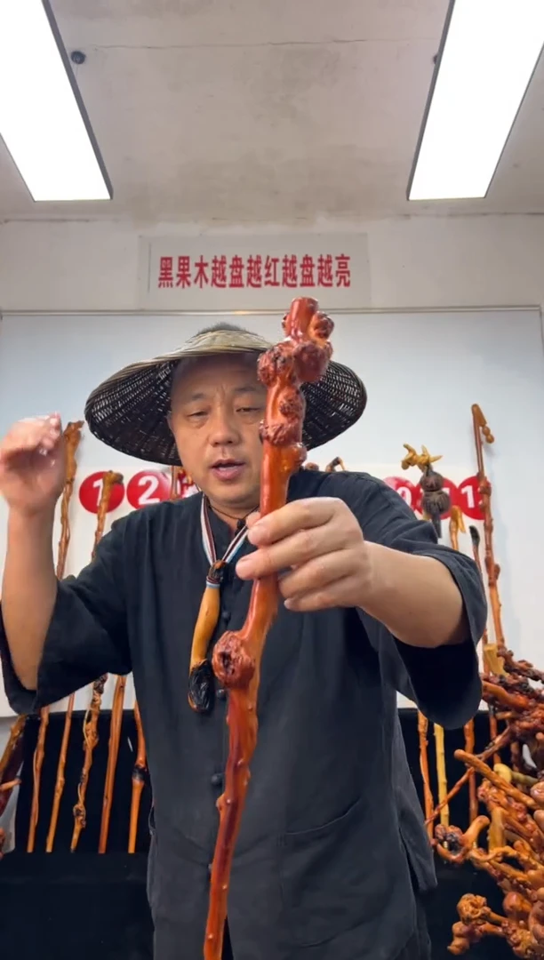 黑果木其他黑果木360