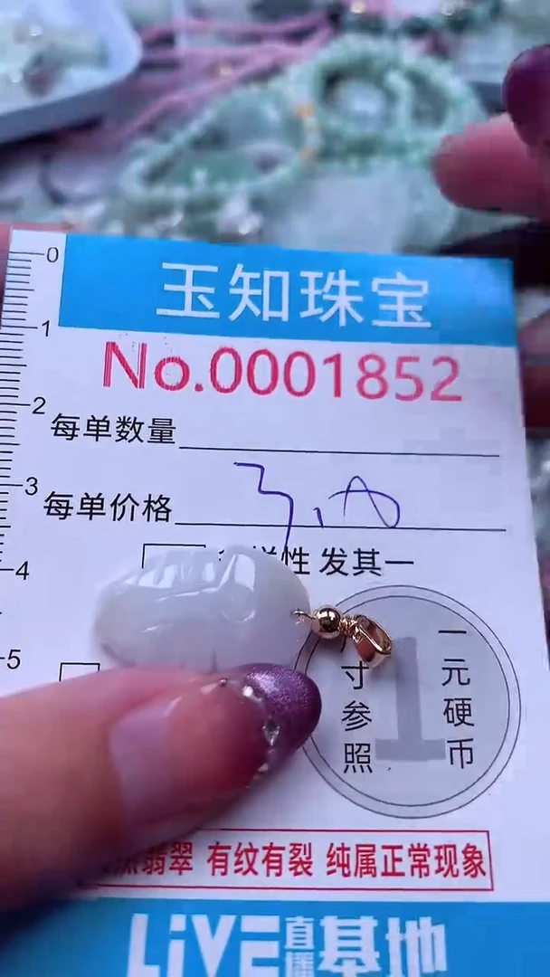 翡翠未镶嵌吊坠(不含链)1852
