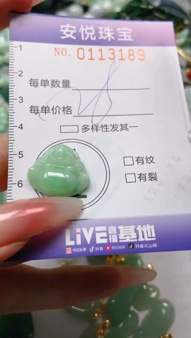 【闪购商品】翡翠颈饰未镶嵌闪购0113189
