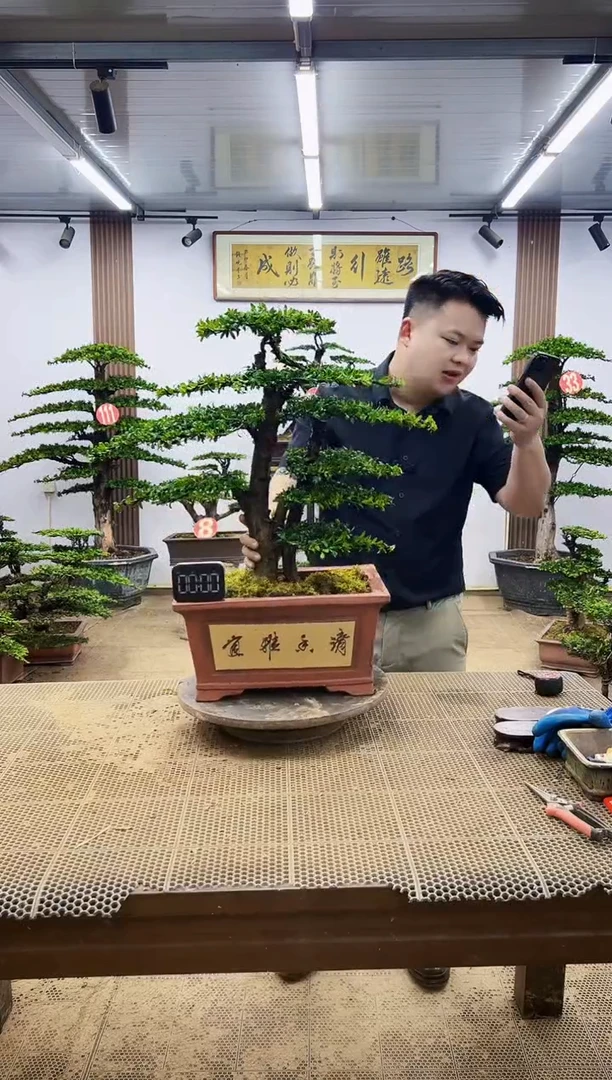 无花朵一物一拍，所见即所得