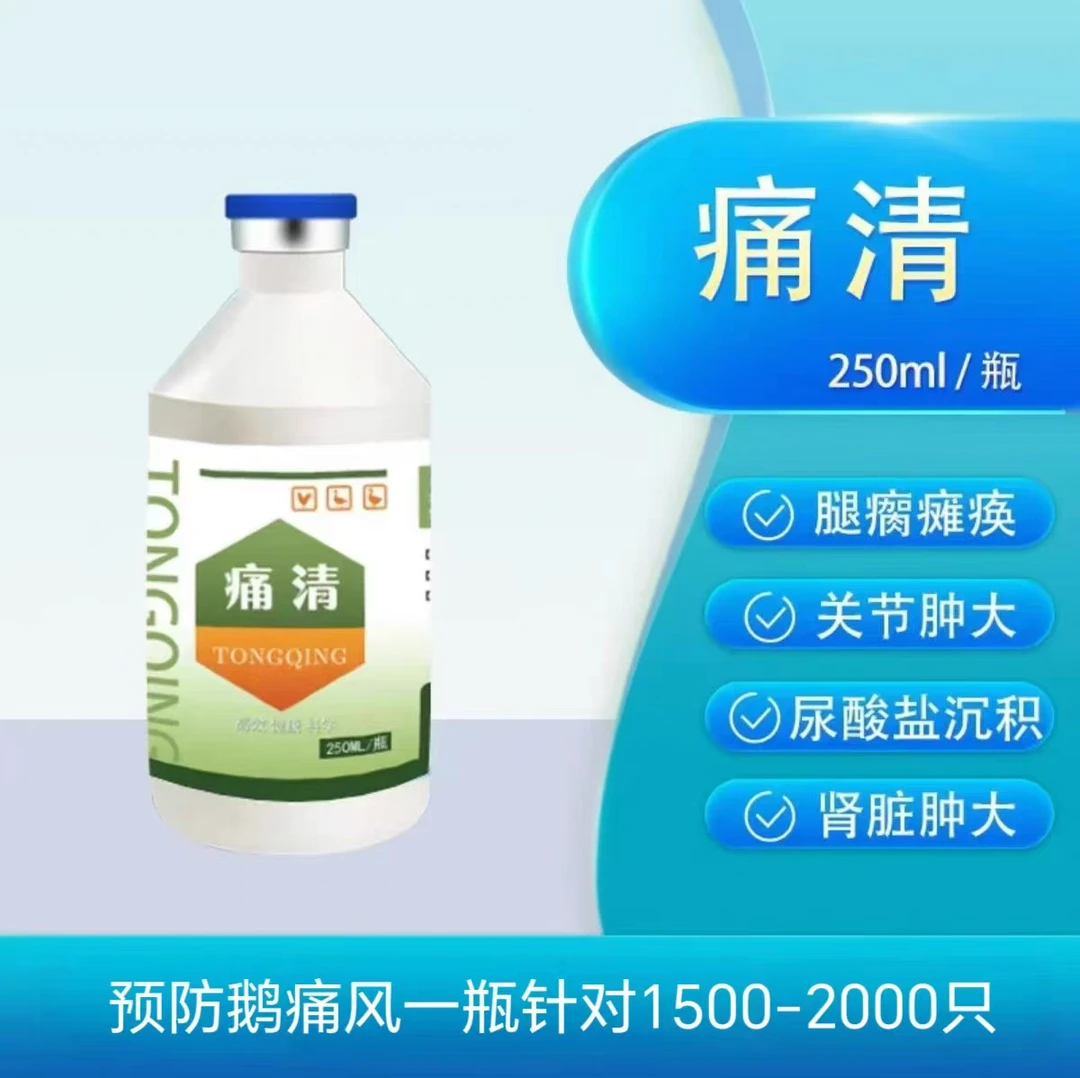《痛清》预防病毒性痛风 饮水疫苗 产生抗体快 解决腿软站不起来