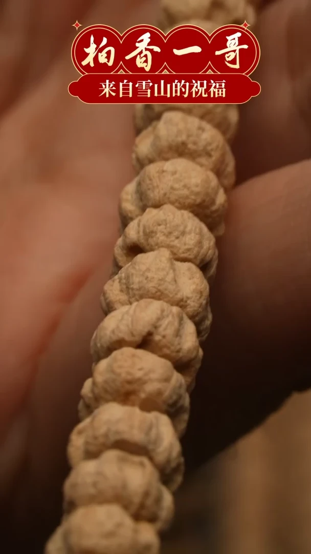 【闪购商品】柏香籽/百香籽吊坠1597