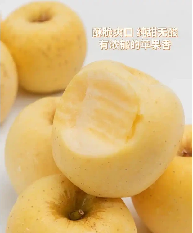 山东烟台黄金维纳斯雀斑美人65-70  4.5斤现摘现发