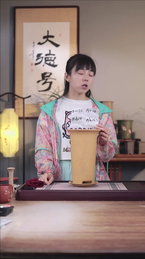紫砂花盆新款段泥高画线一只带托盘
