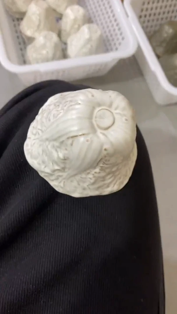 瓷片T588陶瓷茶具茶器