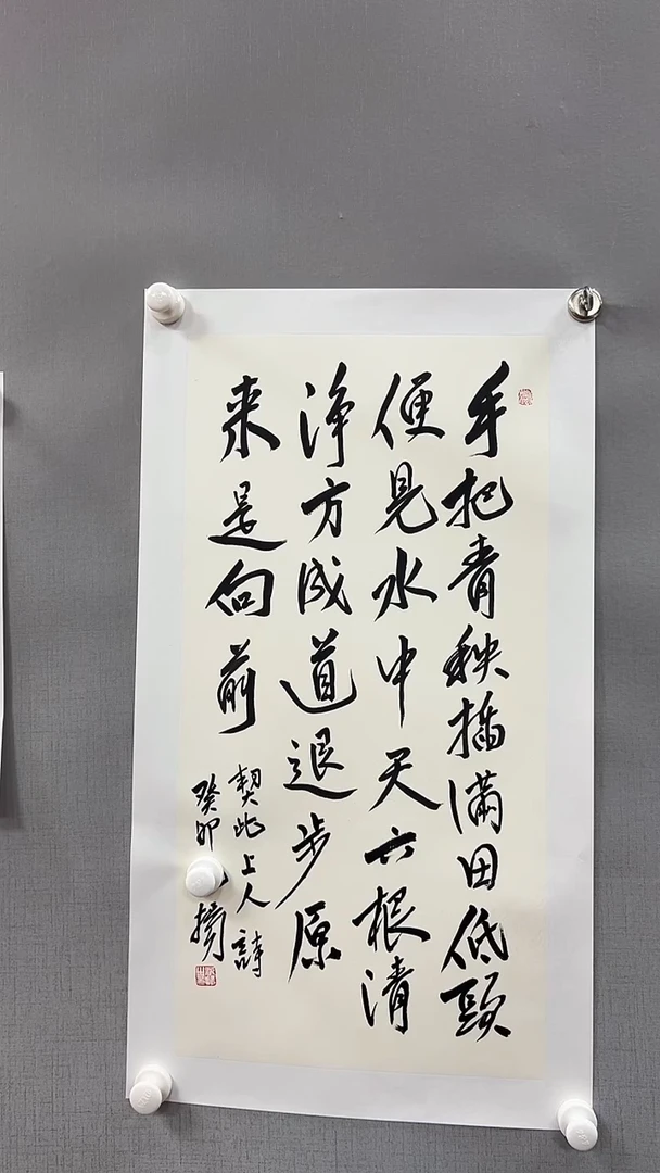 【闪购商品】书法雅艺典藏文化书法