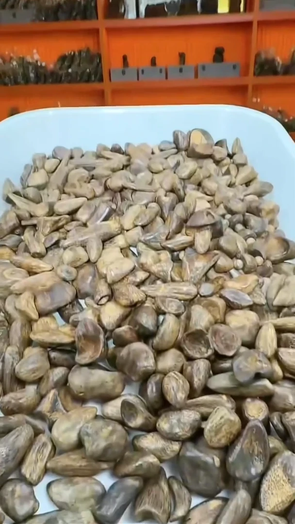 沉香吊坠97号沉水舍利子发两粒多样性发一