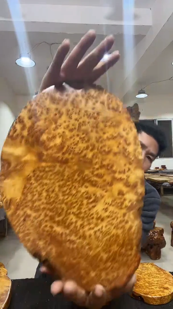 香榧木香杉 枯木榴 香杉 枯木榴