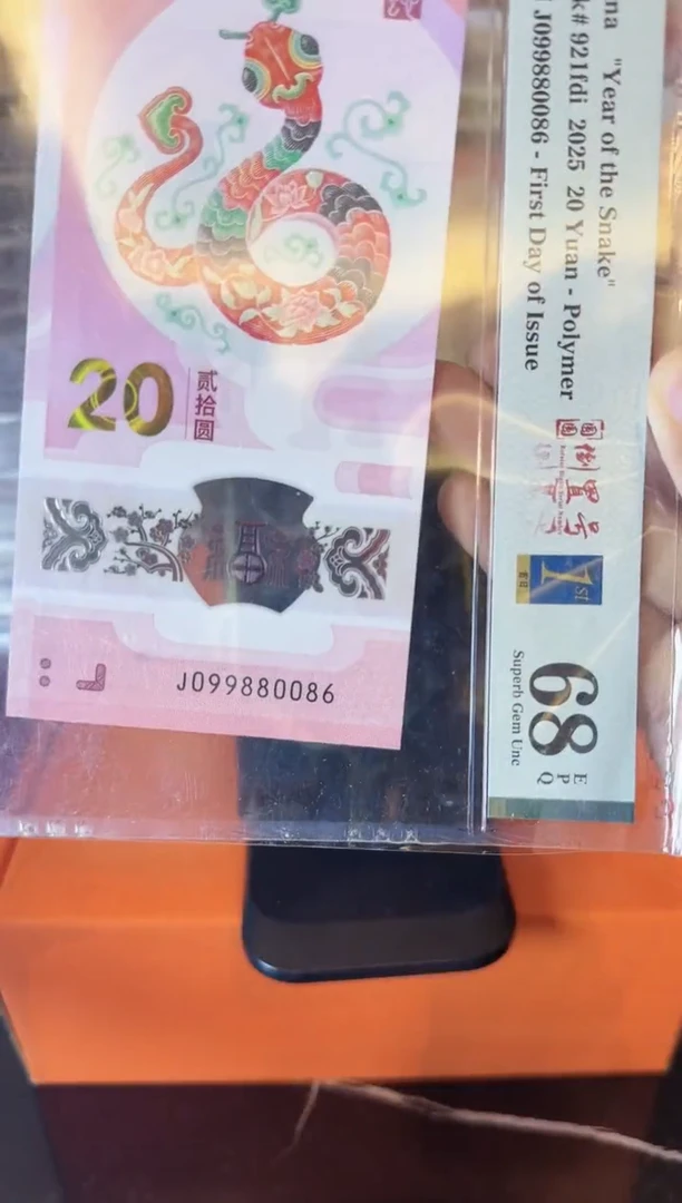 塑料2024 蛇钞    单张 啊啊啊