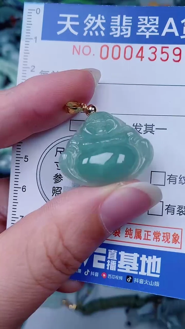 翡翠未镶嵌颈饰00004359
