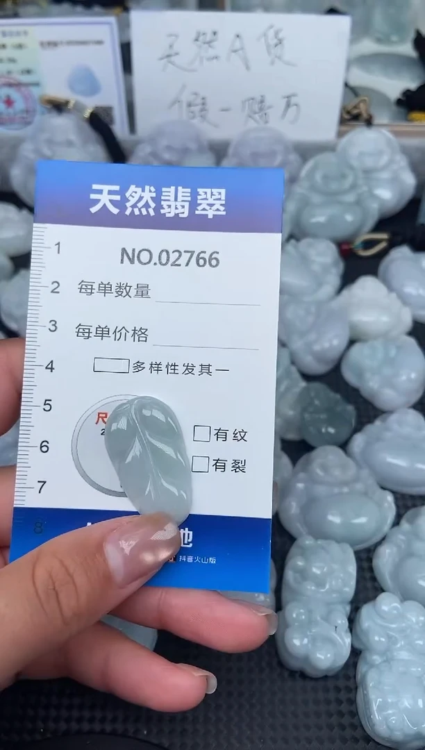颈饰未镶嵌翡翠纯天然A货翡翠2766