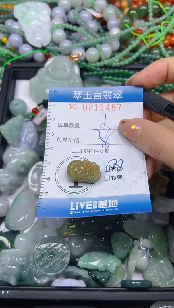 颈饰未镶嵌翡翠闪购C0211487