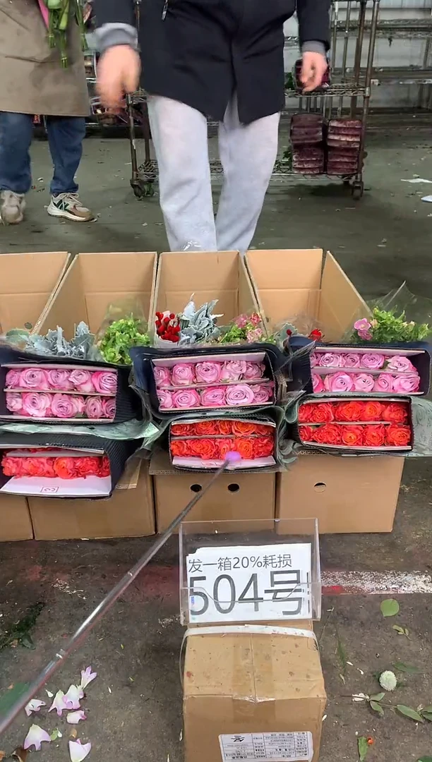 504号♥中通含20%耗损发一箱鲜花