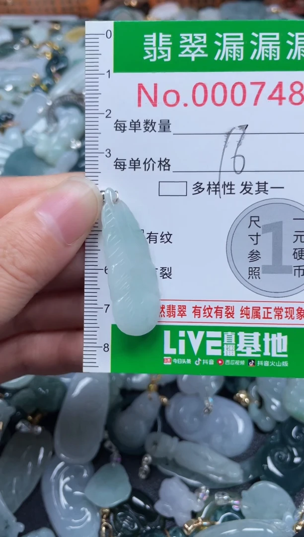 颈饰未镶嵌翡翠7489