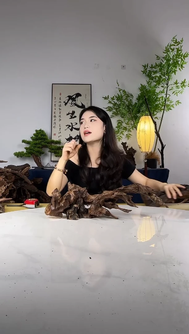 木*人拍这个定向编号26