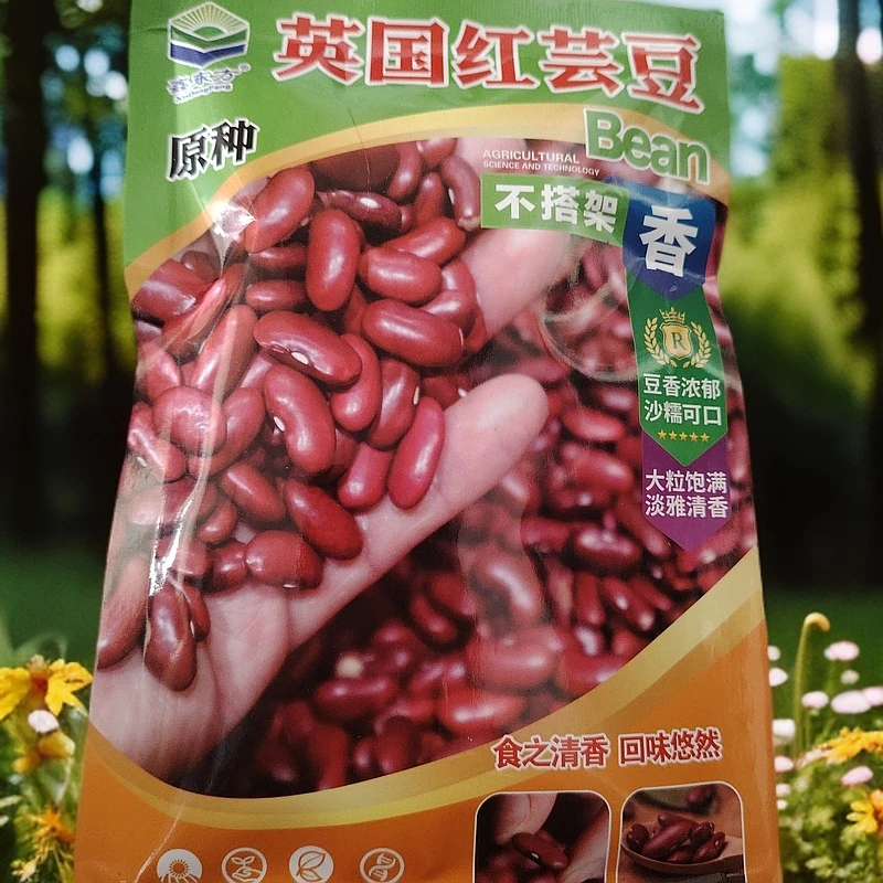 红芸豆饭豆种子250克左右