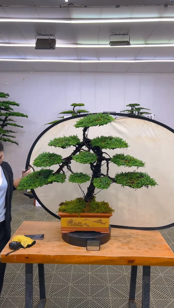 无花朵一物一拍一物一拍