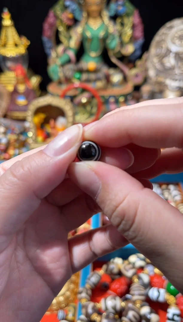 未镶嵌0玛瑙/玉髓ZW013 HZ