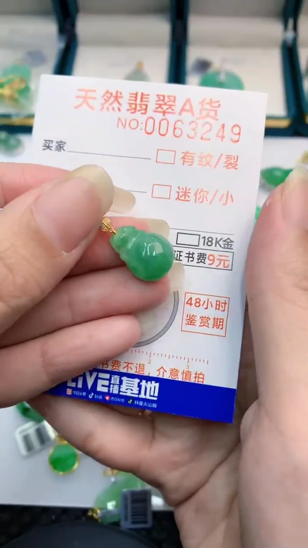 【闪购商品】翡翠颈饰18K金镶嵌            8
