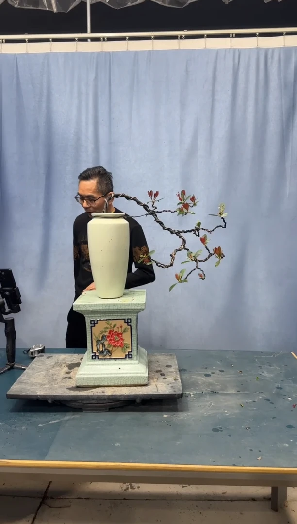 【闪购商品】盆景春花