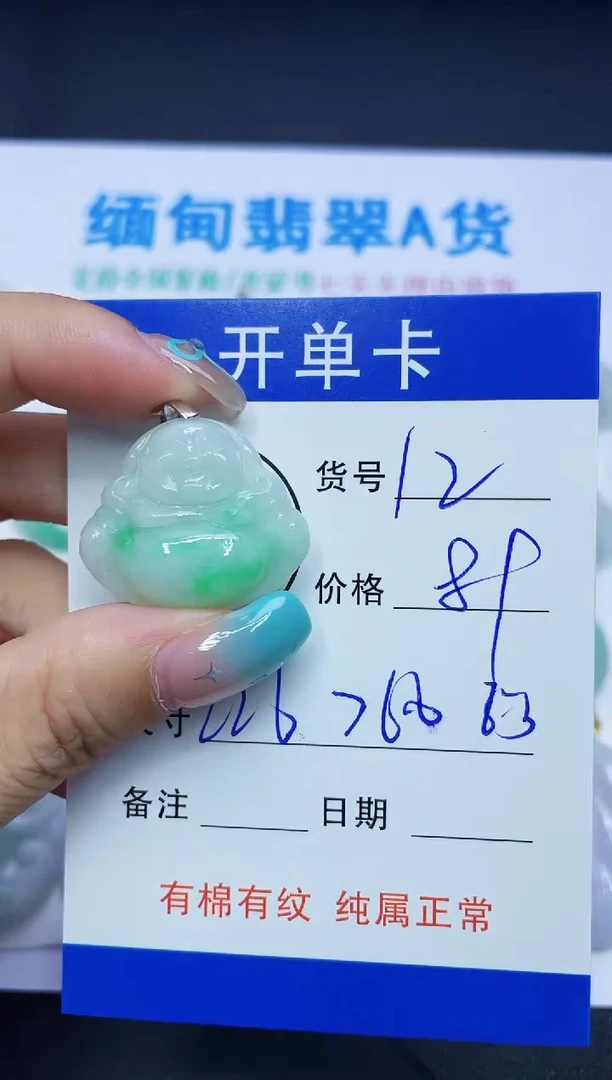 翡翠未镶嵌吊坠(赠链)12