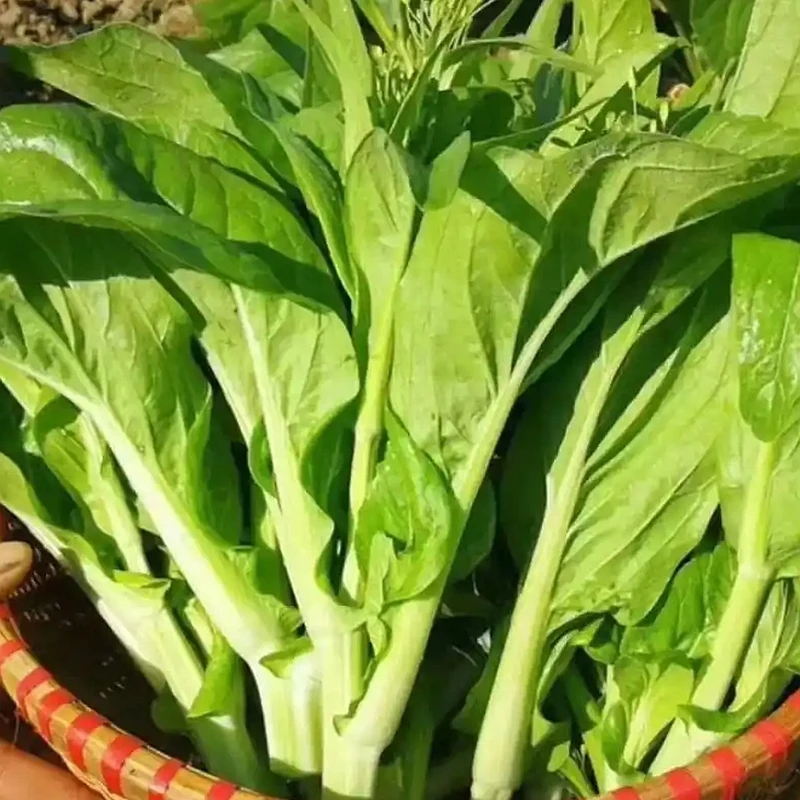 【配送到家】白菜苔约400g