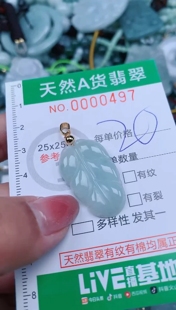 【闪购商品】翡翠颈饰未镶嵌.0000497