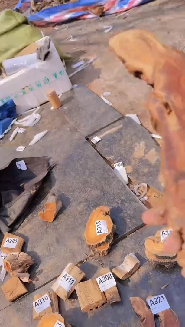 【闪购商品】柏木（崖柏）太行崖柏陈化一片321