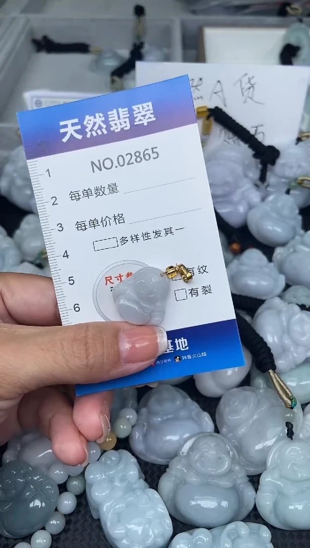 颈饰未镶嵌翡翠纯天然A货翡翠2865