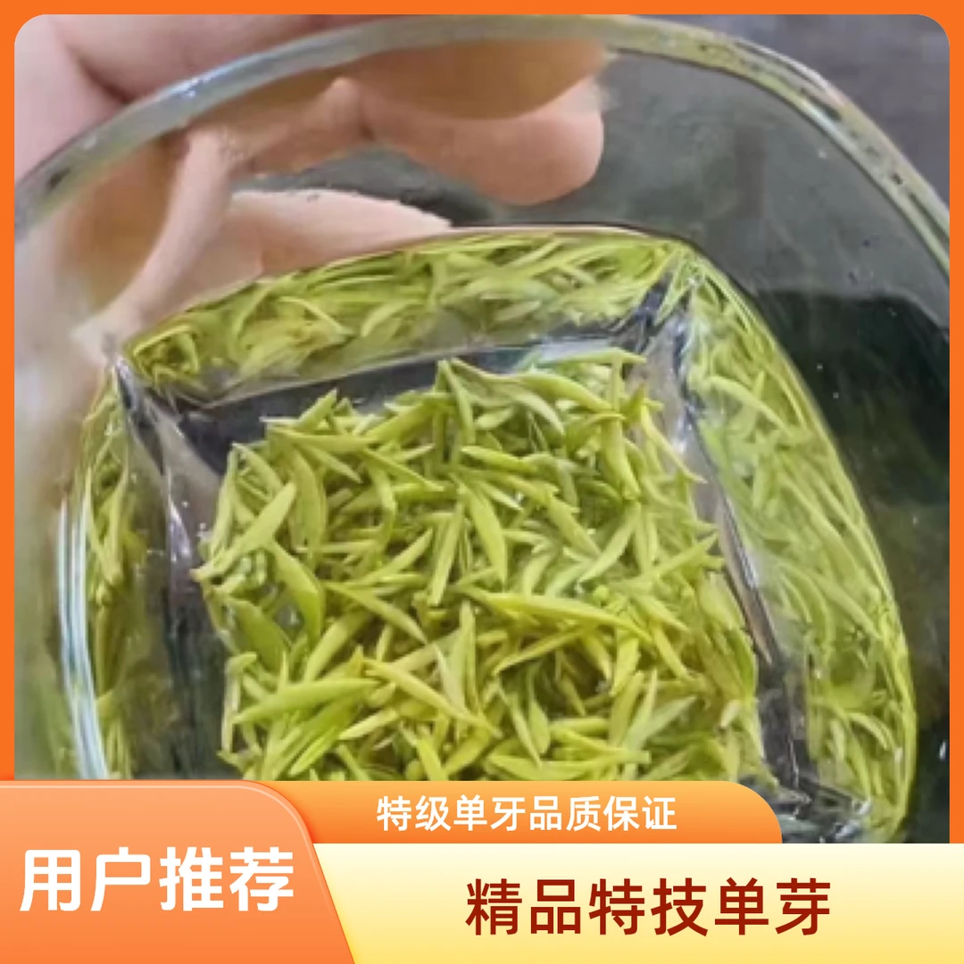 精品特级单牙，2025年苏州洞庭碧螺春明前精品纯手工炒制