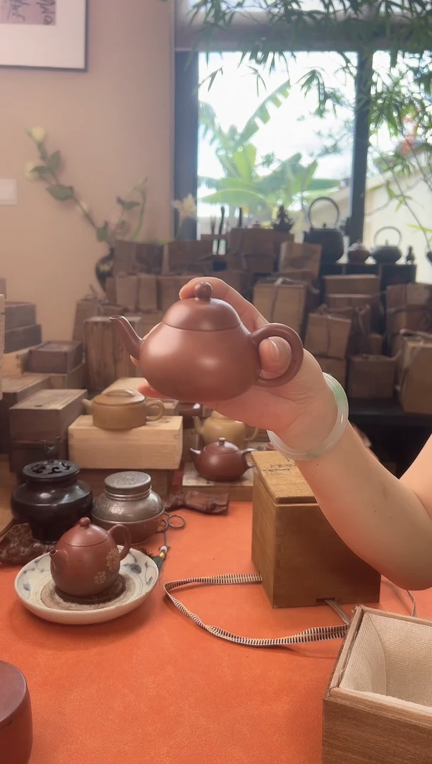 聪**年一个紫砂哈哈哈