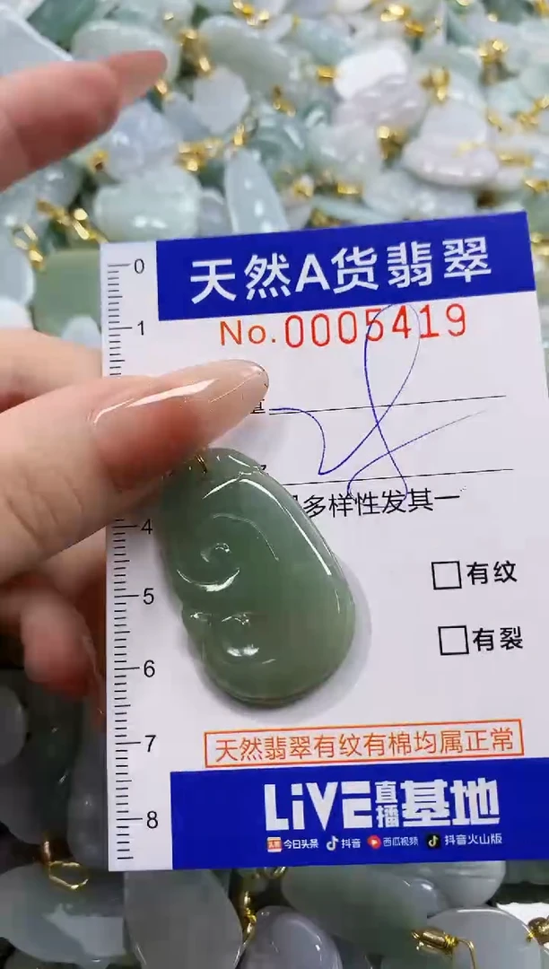 颈饰未镶嵌翡翠天然A货翡翠