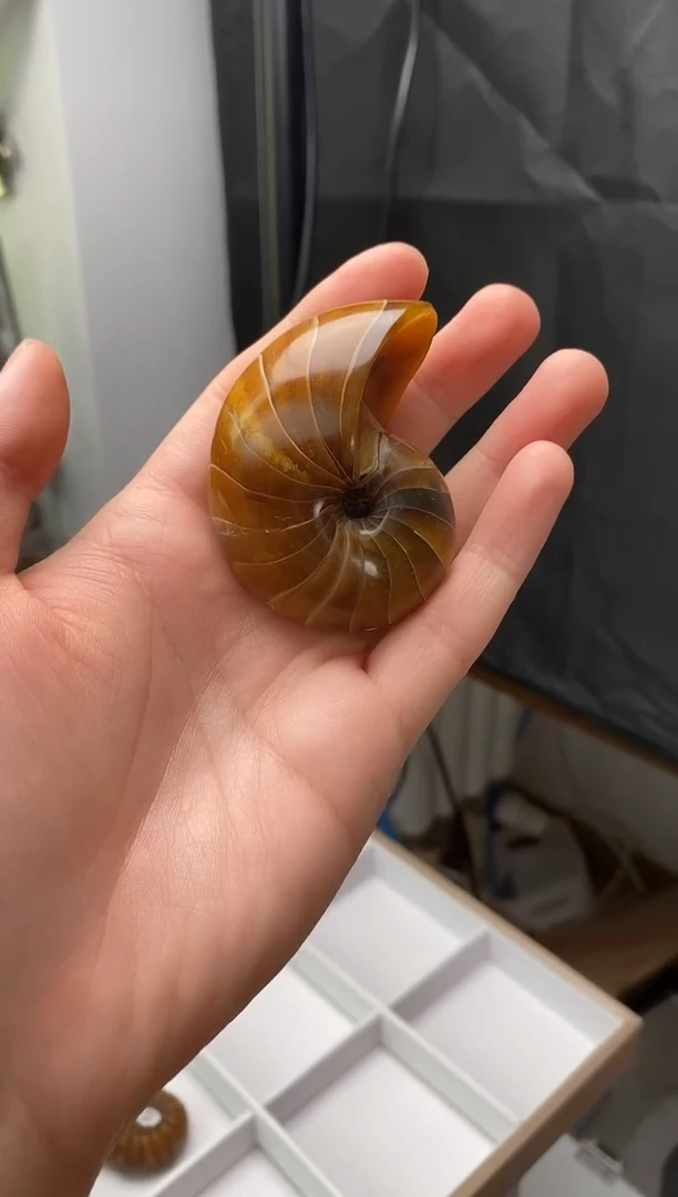 精美摆件创意礼物家居配饰新年礼物个人收藏