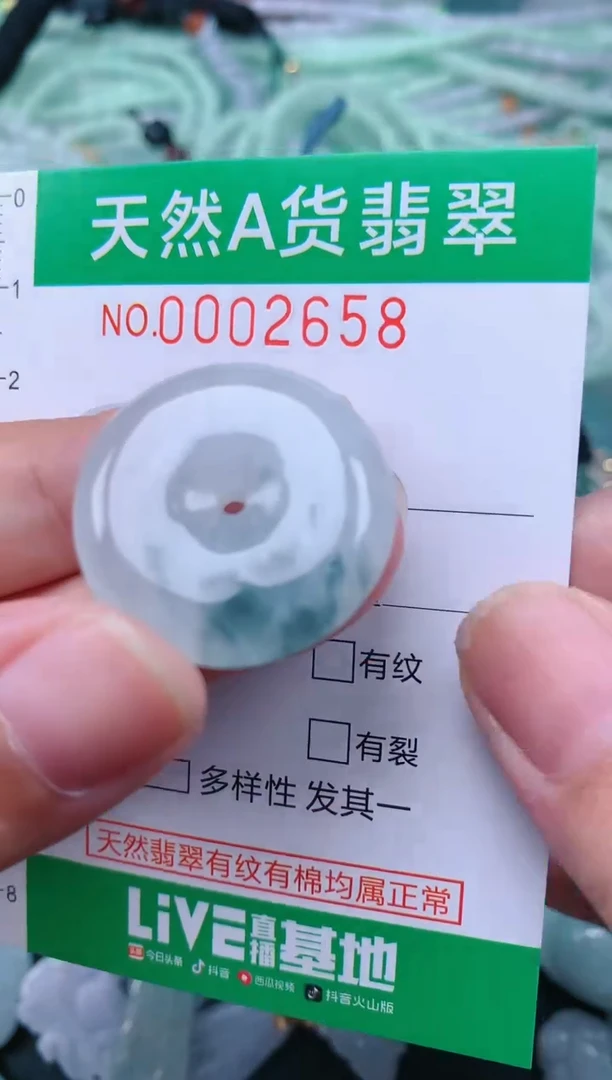 翡翠未镶嵌颈饰.0002658