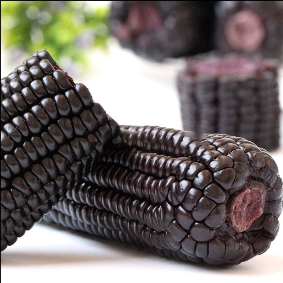 【试吃2根】14根东北黑糯玉米真空锁鲜软糯香甜一整箱